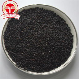 精選芝麻加工磨粉代餐粉，全方位供應信息與專業加工服務指南